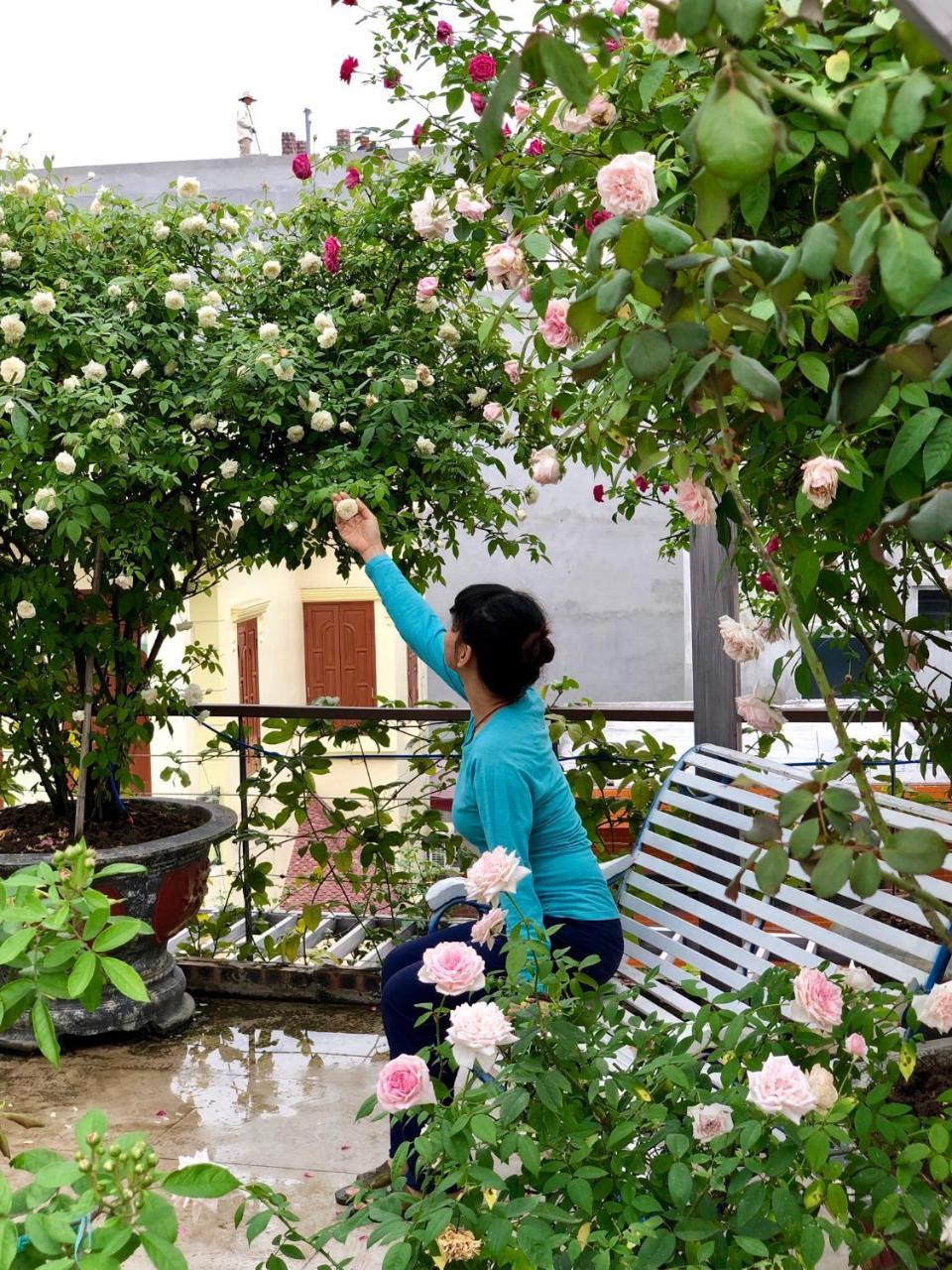 Kiara'S Home Thành phố Hải Phòng Ngoại thất bức ảnh